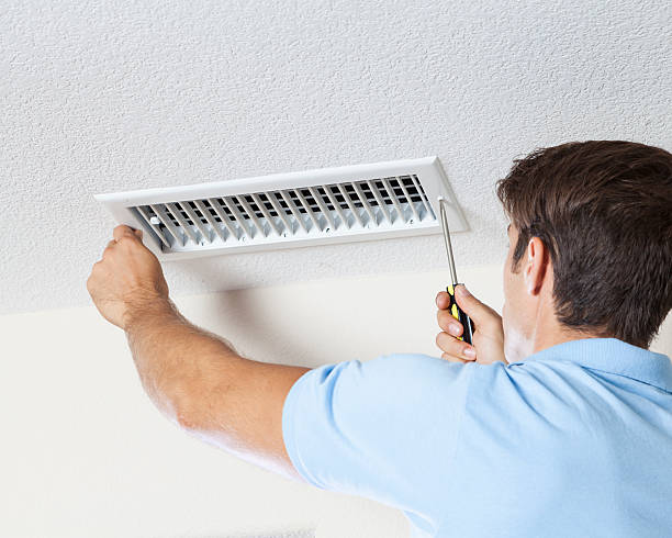 Best Mold-Related Health Consultation  in Baxter Village, SC